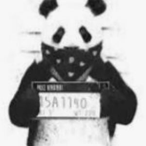 Meet your Posher, Tito